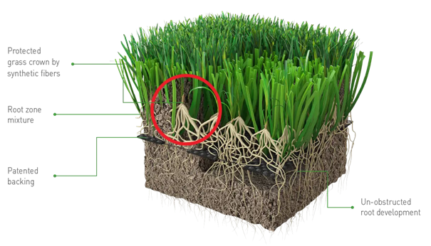 hybridgræssystem saltex