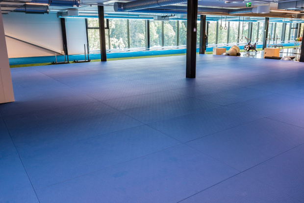 Saltex tatami Kauppi Sports Center