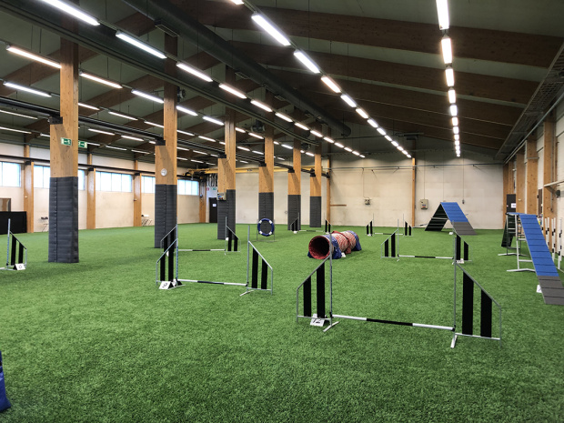 Agility tekonurmi Saltex koiraurheilu rallitassu