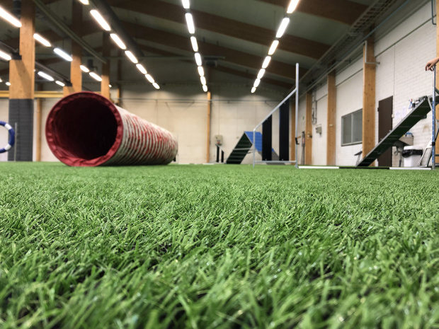 Agility tekonurmi Saltex koiraurheilu rallitassu