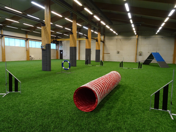 Agility tekonurmi Saltex koiraurheilu rallitassu