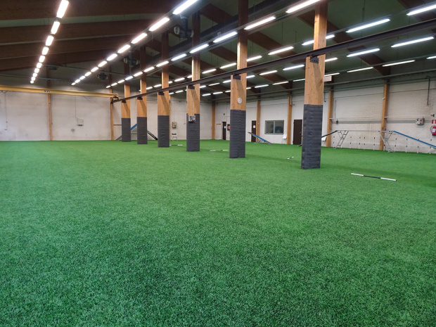 Agility tekonurmi Saltex koiraurheilu rallitassu