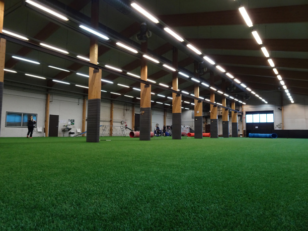 Agility tekonurmi Saltex koiraurheilu rallitassu