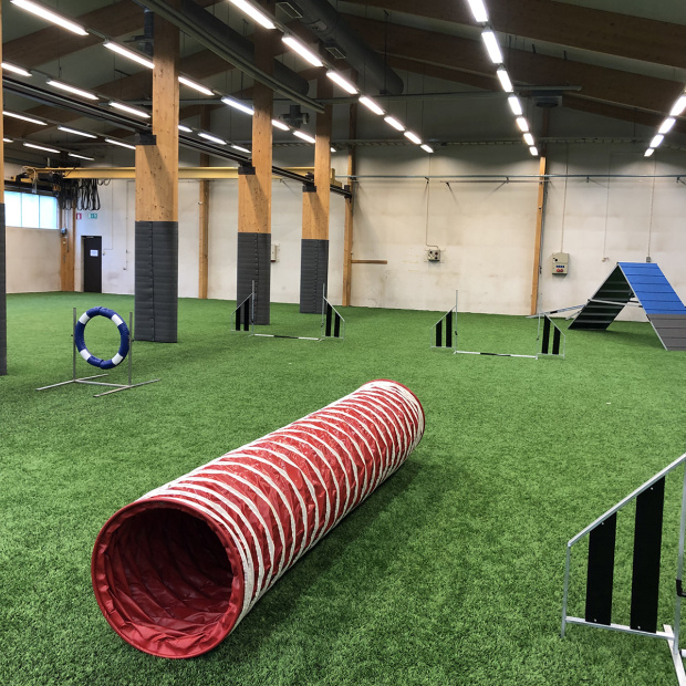 Agility tekonurmi Saltex koiraurheilu rallitassu