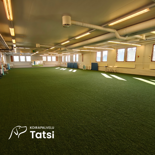 Saltex Nordic AG -tekonurmi, Koirapalvelu Tatsi, Mikkeli