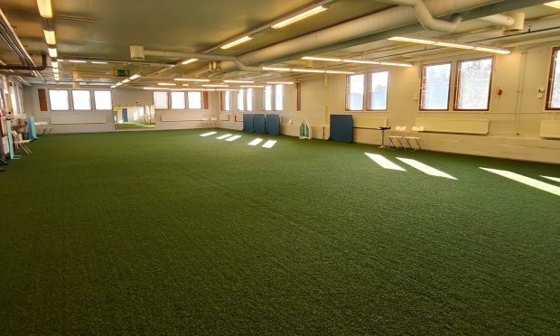 Saltex Nordic AG -tekonurmi, Koirapalvelu Tatsi, Mikkeli